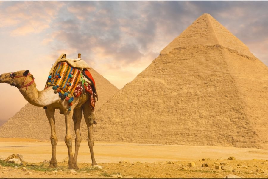 Full Day at The Giza Pyramids, Sphinx and Grand Museum