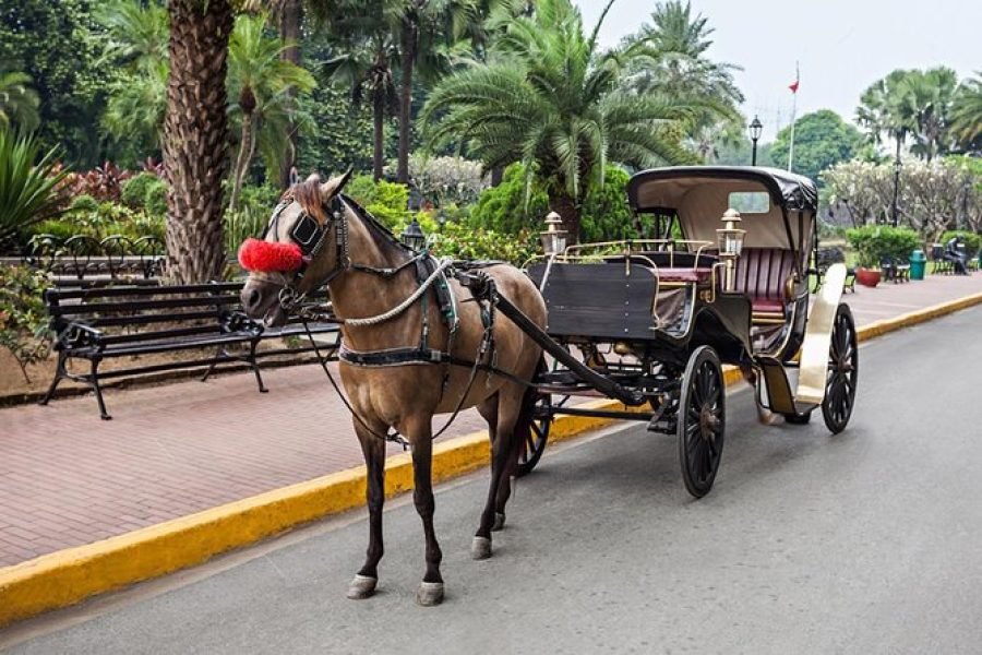 City Tour in Luxor by Horse-Drawn Carriage